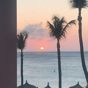 Meet your Posher, Ross